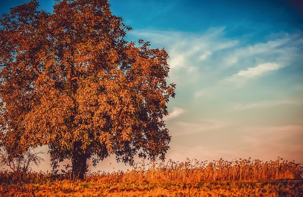 Uchwyć uroki jesiennej pogody dzięki profesjonalnemu sprzętowi