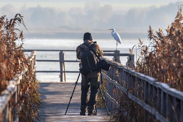 Poradnik: Wybór idealnego aparatu do zdjęć krajobrazowych